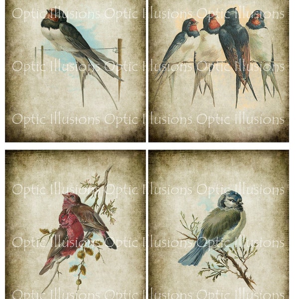 Vintage Bird Illustrations - INSTANT DOWNLOAD - Set of 12 Images - Each Image is 4 x 5 Inches - You Save 35% - Cards, Scrapbooking6.75