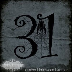 May include: Black and white illustration of the number 31 with a spider web and a bat hanging from the top of the number. The background is a dark gray with a distressed texture. The text "Optic Illusions" and "Haunted Halloween Numbers" is at the bottom of the image.