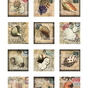 May include: Nine vintage-style postcards featuring different seashells on a background of old handwritten letters and stamps. The seashells are in various colors and shapes, including white, brown, and orange.