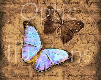 INSTANT DOWNLOAD - Old World Butterfly Picture 9 - - Printable Picture - Scrapbooking, Card Supplies, ATC's, Great for Framing1.00