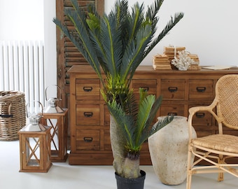 Kunstpalme Cycas Palme - Kunstpflanze - exotische Deko, Palme mit groen  Wedeln- Terrassen Deko - Geschenkidee - 100cm Hhe - Etsy.de