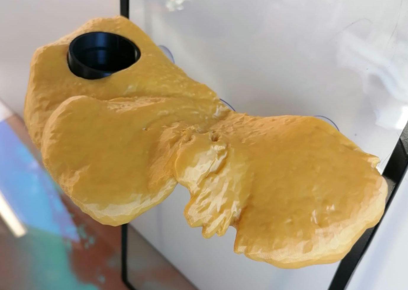 Fungo ciotola con piattaforma. Mangiatoia con ventose per terrari e teche per la somministrazione di cibo e acqua.