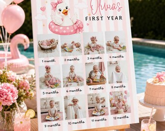 Summer One Silly Goose Milestone Poster Pink Stripes Editable Canva 12 Month Photo Board