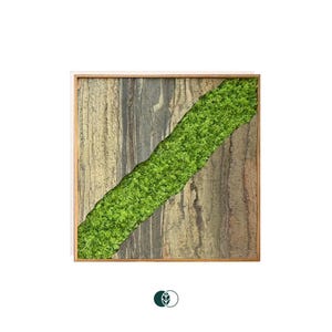 May include: A square framed wall art piece with a diagonal green moss design on a wood background.