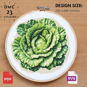 Lettuce Cross Stitch   Lettuce Pattern   Vegetable Fruit Embroidery    Fruit Garden Plant Simple Nature Cross Stitch   Digital xstitch   PDF