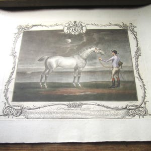 May include: Antique framed print depicting a white horse and a man in period attire. The artwork is set against a cloudy sky and framed with ornate scrollwork. The print is on aged paper.
