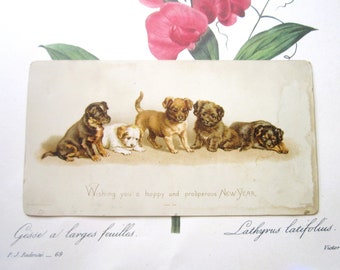 Antique Puppies, New Year Card, 1900s 1910, Illustrated Line up Cute Old Timey Puppy Dogs, Single Side Greeting, “New Year's Eve Day" Wishes