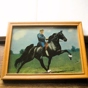 Vintage Horse Breeding Advertisement, Framed Color  Rodger&#39;s Perfection, World&#39;s Grand Champion Walking Horse, Joe Webb, Searcy Arkansas,