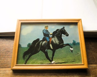 Vintage Horse Breeding Advertisement, Framed Color  Rodger's Perfection, World's Grand Champion Walking Horse, Joe Webb, Searcy Arkansas,