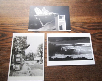 Vintage 90's Gallery Cards, Three Black and White Post Cards, 1980s-90s Artistic Expression, Vintage Photography, Cats Humans and Nature Art