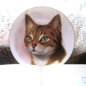 Vintage Cat Trinket Dish, 1960s 70s Orange Tabby Transfer Ware, Cat Decor, Green Eye Cat Decorative Dish, Kitty Treat Dish, Cat Lovers Unite