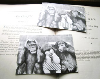 1990s John Drysdale Photo, Vintage Black White Gallery Cards, 2 Postcards, Hear No Evil, See No Evil, Speak No Evil, Chimps w Little Girl,