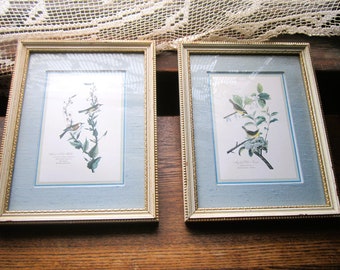 2 Illustrated Prints by John James Audubon, The Birds of America, Warbler Chestnut sided and Maryland Yellow-Throat, 1950s 60s Framed Birds