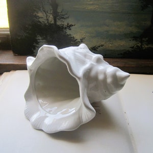 May include: White ceramic seashell shaped trinket dish. The dish is glazed and has a smooth, glossy finish.