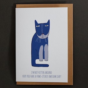 Je ne suis pas un chaton qui aime les pattes, une journée géniale, des voeux mignons et originaux pour les amoureux des chats, une carte de voeux d'anniversaire, une carte-cadeau d'anniversaire amusante
