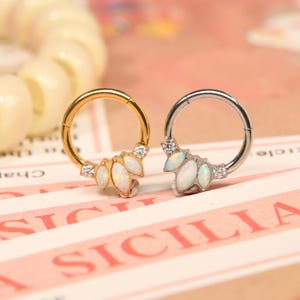 Anillo de tabique nasal con bisagra y cierre de clic, Daith Rook, tragus, aro de acero quirúrgico, 16 g