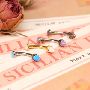 Pair Eyebrow Ring, Vertical Labret, Lip Piercing Jewelry, 16G Implant Titanium, Rook Barbell,Curved Barbell,Cartilage Earrings