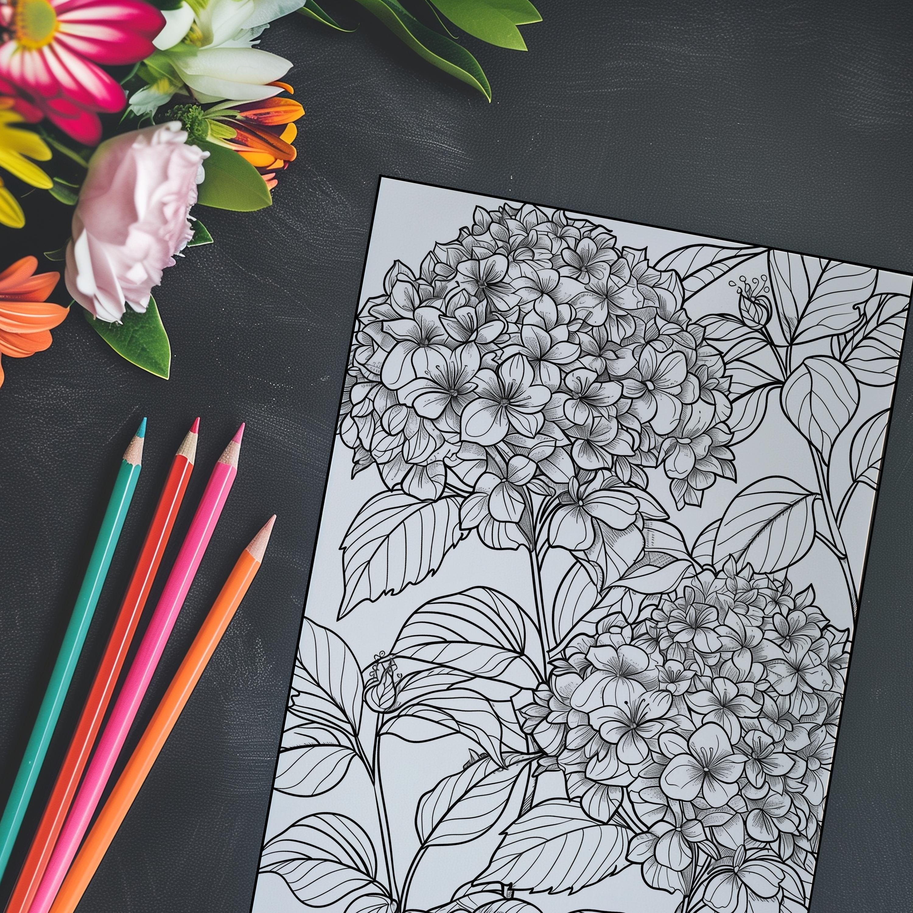 Printable Hydrangeas Coloring Page DIY Craft - Etsy