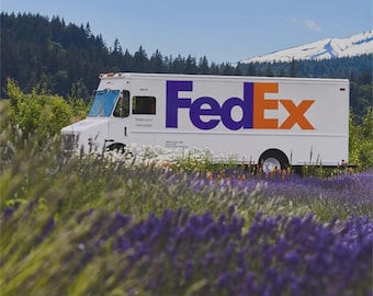 Expedited shipping service ; Fedex Express Upgrade
