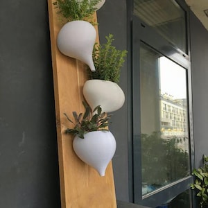 wall pot - planter, pencil holder - STL file for 3D printer, 3D printing
