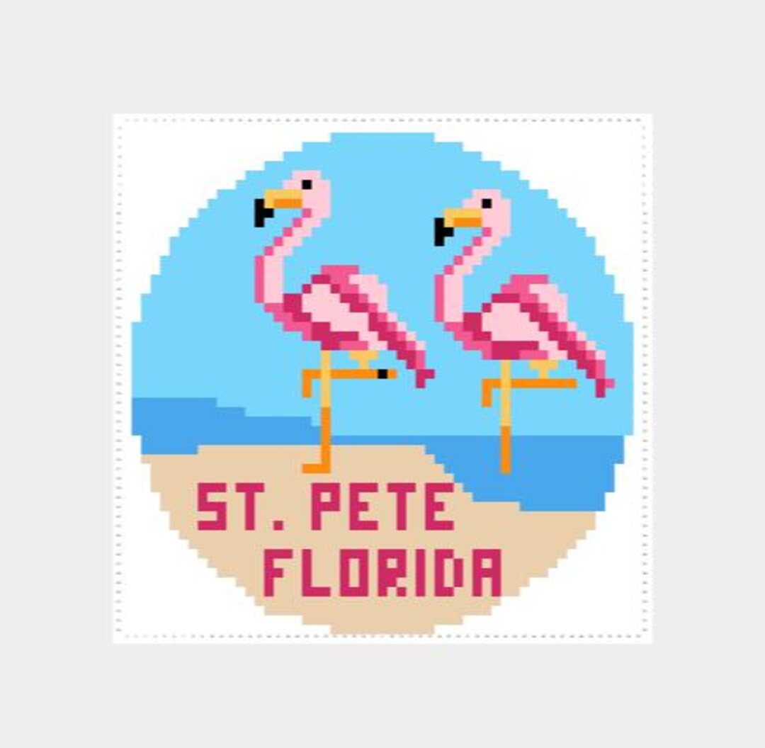 February 6, 2020 Tornado in Pinellas County, image size:1080x1056