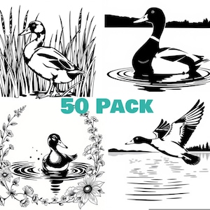 May include: A set of 50 black and white duck silhouette decals. The ducks are in various poses, including swimming, flying, and standing in reeds. The decals are perfect for adding a touch of nature to any space.