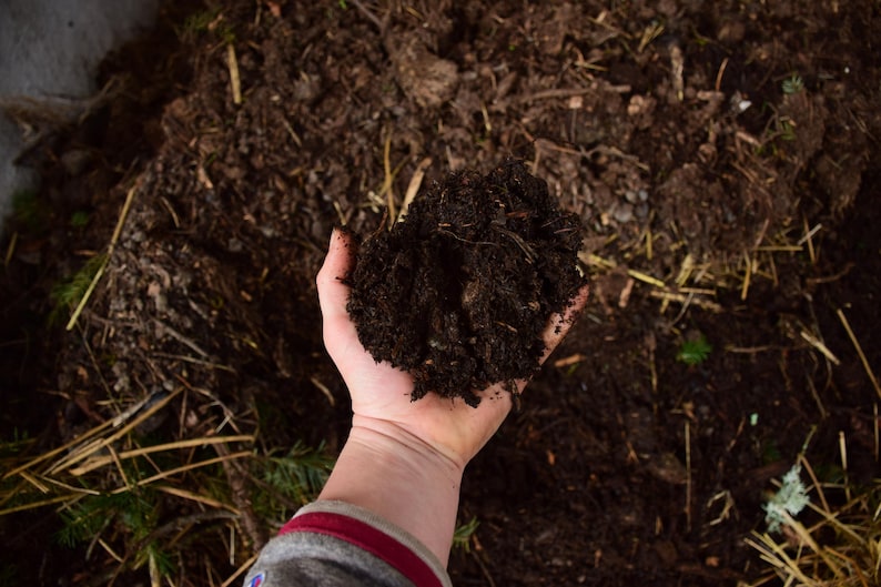 Composted Horse Manure - Etsy