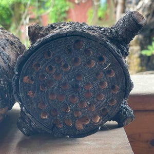 Charred Log Mason Bee House – Natural Pollinator Habitat for Your Garden