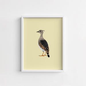 Quail Illustration Print: Children&#39;s Book Style Art (Digital Download)