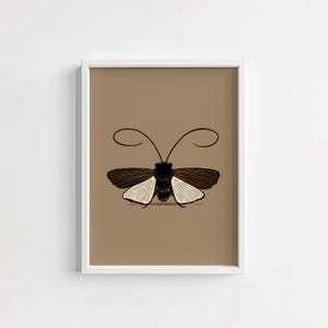 Moth Digital Wall Art | Insect Printable | Boho Nature Decor