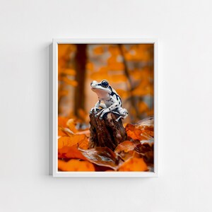 Kleurrijke dartkikker aquarel kunstafdruk | Levendige dierenmuurdecoratie, op de natuur geïnspireerd huisdecor, unieke cadeau-ideeën