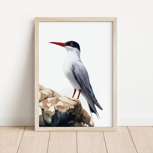 Tern Wall Decor | Watercolour Bird Art Print for Home Decor & Bird Lovers, Nature-Inspired Wall Art