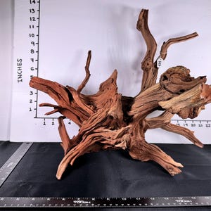 Op de afbeelding: Een groot, natuurlijk stuk drijfhout met een complexe, getextureerde oppervlakte. Het hout heeft een warme bruine kleur, met meerdere takken en uitsteeksels. Het stuk meet ongeveer 35 cm hoog en 66 cm lang.