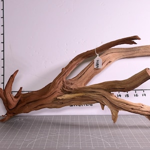 Drijfhout, natuurlijke grootte, groot, voor aquarium- en terrariumdecoratie