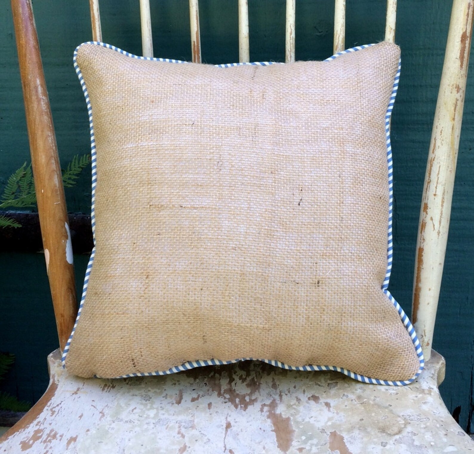 Cat Pillow Cat in Ruffle Collar Pillowfrench Country Etsy