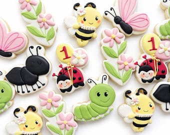 Piccoli insetti innamorati primaverili decorati con biscotti di zucchero