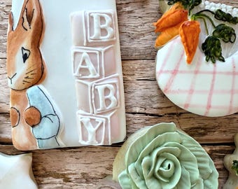 Galletas de Peter Rabbit pintadas a mano con acuarela / Recuerdos de conejito y zanahoria para baby shower (docena)