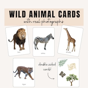 Safari animaux sauvages (photos réelles) | Cartes Flash Montessori | Apprendre aux animaux | Ressources parentales | Téléchargement instantané imprimable