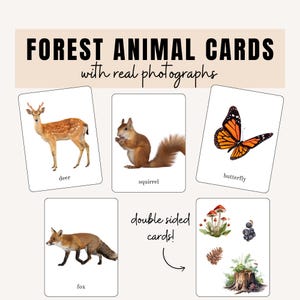 Cartes d'animaux de la forêt (vraies photos) | Cartes Flash Montessori | Apprendre aux animaux | Ressources parentales | Téléchargement instantané imprimable
