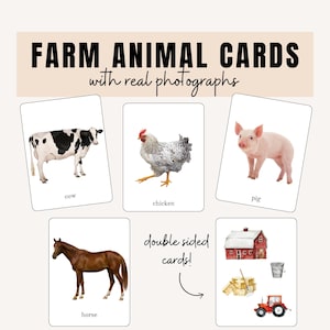 Cartes animaux de la ferme (photos réelles) | Cartes Flash Montessori | Apprendre aux animaux | Ressources parentales | Téléchargement instantané imprimable