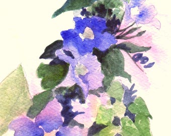 Flower Painting, "Sky Vine," Watercolor Painting, 5x7