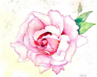 Pinkness, Rose Watercolor Painting 9x7.5