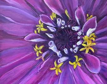 Heart of a Zinnia, 12x12 Giclee Print