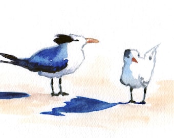 Bird Painting, "Terns," Watercolor Daily Painting, 5x7 Matted