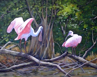 Bird Art, Everglades Spoonbills, Giclee Print on Stretched Canvas from Original Oil Painting