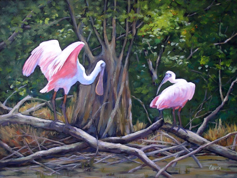 Bird Art, Everglades Spoonbills, Giclee Print on Stretched Canvas from Original Oil Painting image 1