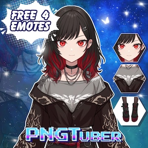 Custom PngTuber | Custom PngTuber Model | PngTuber Commission | Cute PngTuber | PngTuber Avatar | PngTuber Asset | Png Tuber Design