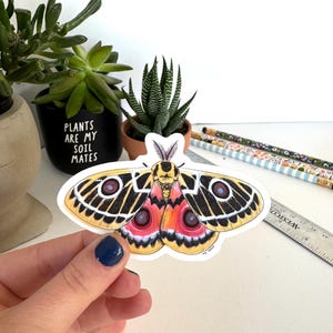 May include: A colorful moth sticker with yellow, black, and red details. The sticker is held by a hand with blue nail polish. The background includes potted plants and pencils.