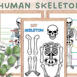 Human Skeleton Busy Book Page, Printable Montessori Materials, Kids Bones Biology Lesson, Moving Skeleton Craft,Homeschool Resource Prints