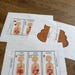 Human Body Digestive System Foldable Sequencing Activities for Kids ...